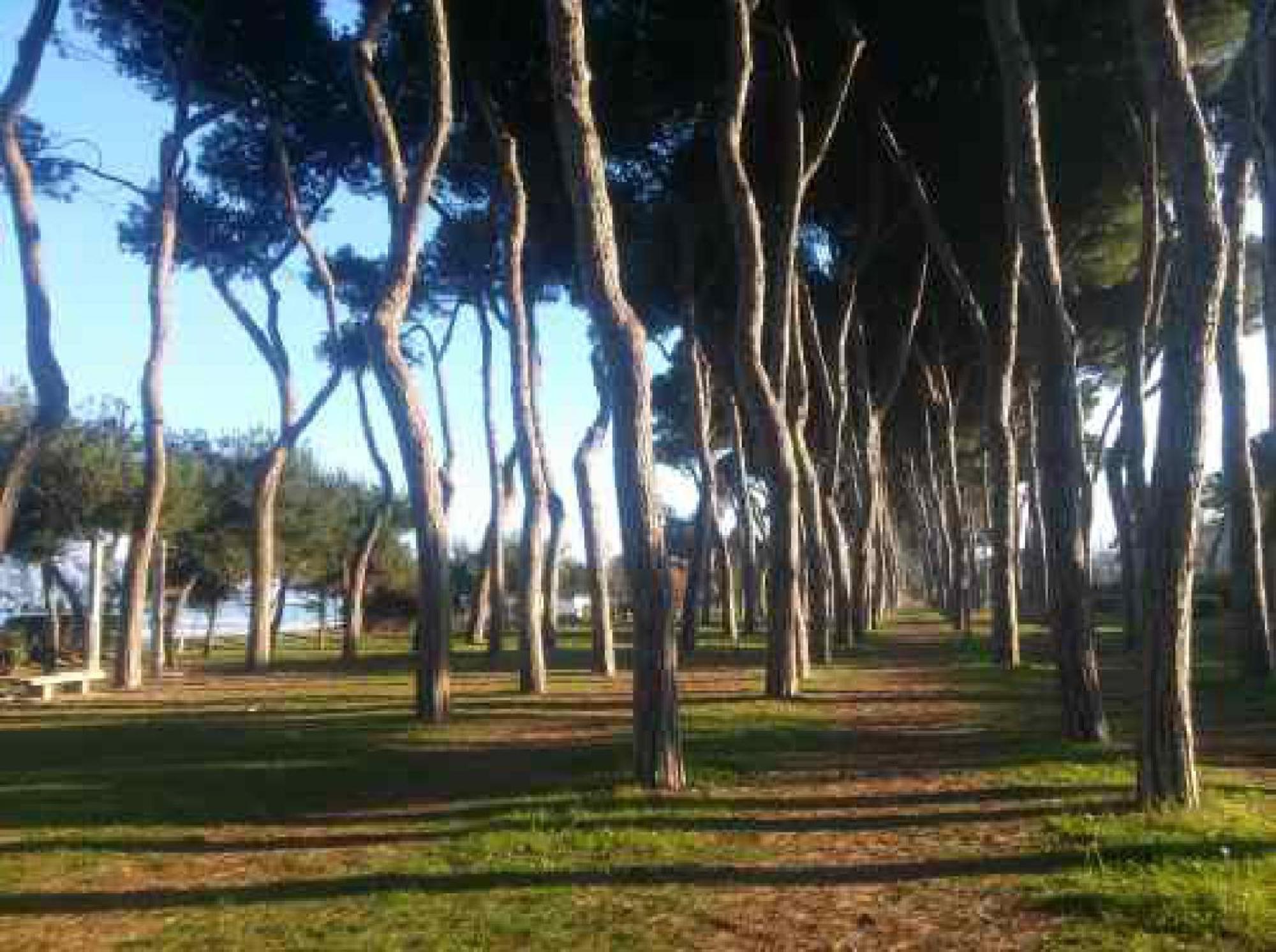 佩斯卡拉Casa Klimt Vicinissima Al Mare Parcheggio Privato Gratuito Se Disponibile公寓 外观 照片